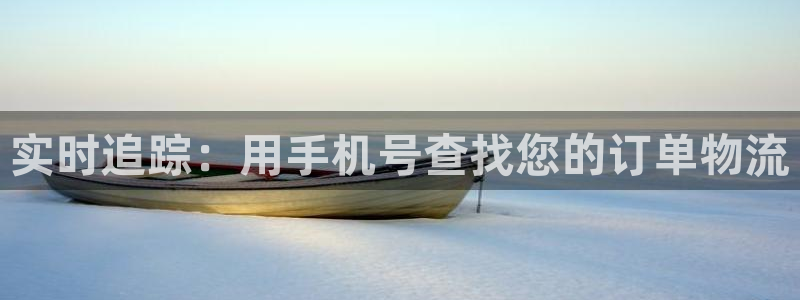 超凡国际忘记账号：实时追踪：用手机号