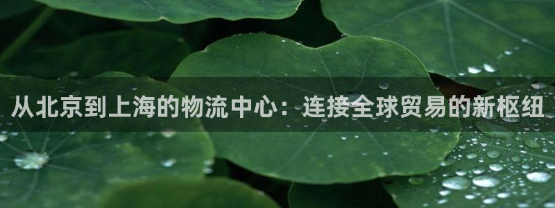 超凡国际下载体育：从北京到上海的物流