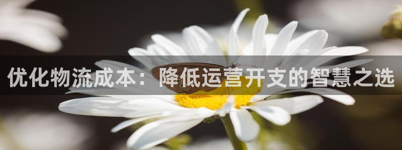 超凡国际APP是干什么的：优化物流成