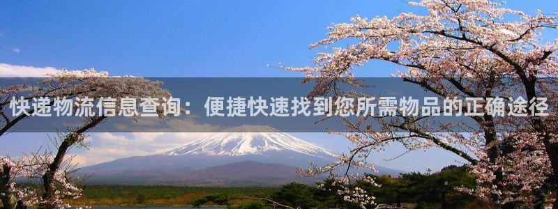 超凡国际的自行车：快递物流信息查询：