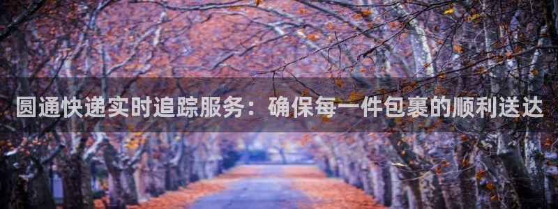 超凡国际人头费：圆通快递实时追踪服务