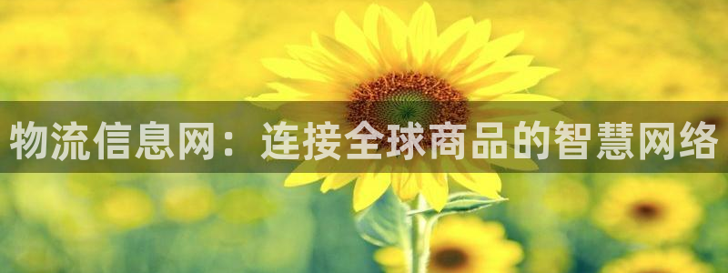 超凡国际网赌案件：物流信息网：连接全球商品的智慧网络