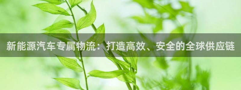 超凡国际开奖预测：新能源汽车专属物流