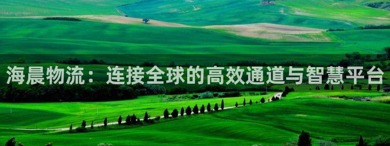 超凡国际注册上限是啥意思：海晨物流：