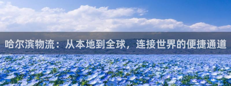 超凡国际注册用户名是什么：哈尔滨物流
