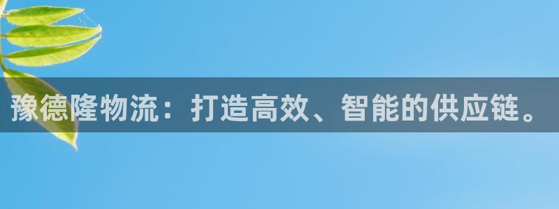 超凡国际下载不了：豫德隆物流：打造高
