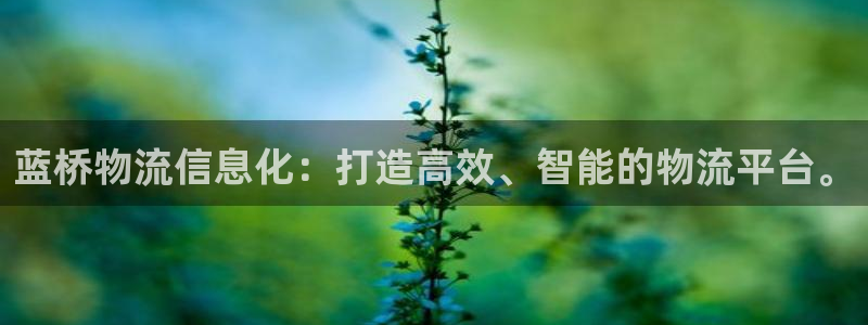 超凡国际网赌案件：蓝桥物流信息化：打