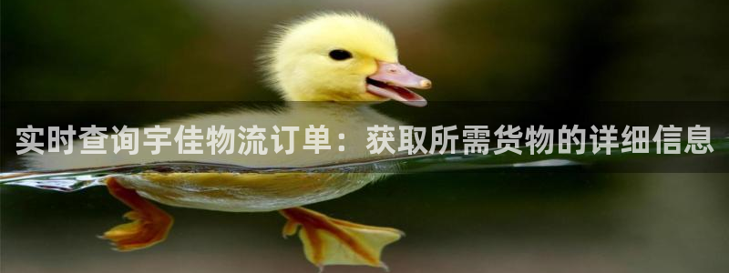 超凡国际注册登录链接流程：实时查询宇