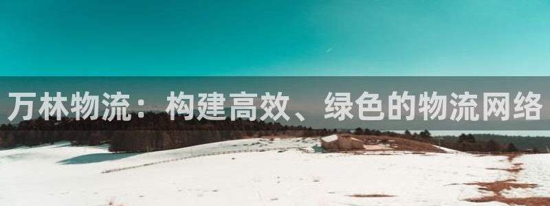 超凡国际网站怎么注册：万林物流：构建