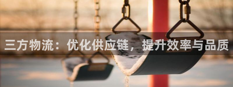 超凡国际注册链接教程：三方物流：优化