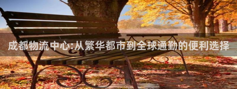 超凡国际官网入口2024：成都物流中