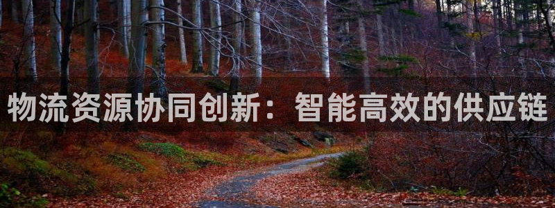 超凡国际怎么申请代理：物流资源协同创