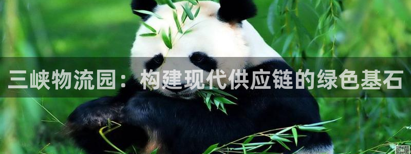 超凡国际加拿大技巧：三峡物流园：构建