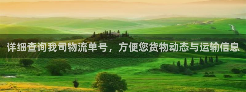 超凡国际注册官网：详细查询我司物流单