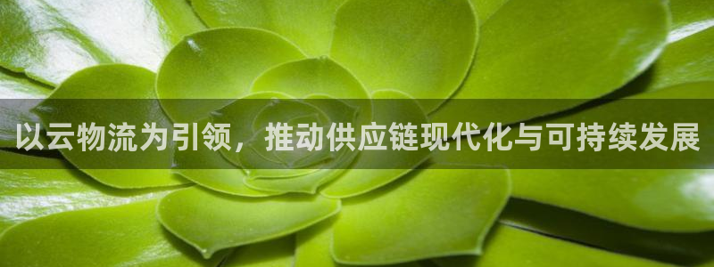 超凡国际黑吗：以云物流为引领，推动供