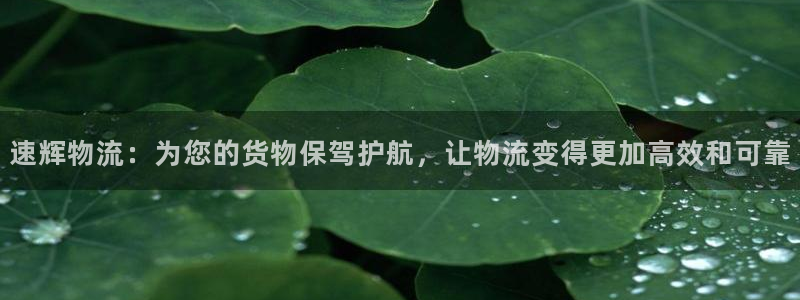 超凡国际登录网：速辉物流：为您的货物