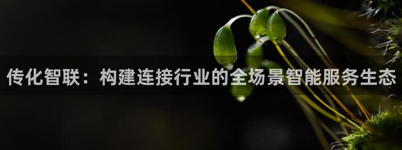 超凡国际模拟器下载：传化智联：构建连接行业的全场景智能服务生