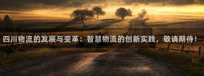 超凡国际注册网址：四川物流的发展与变