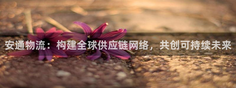 超凡国际反水什么时候到：安通物流：构