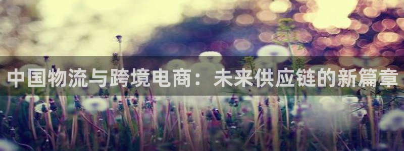 南宫超凡国际官网版:中国物流与跨境电