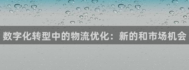 超凡国际麻将:数字化转型中的物流优化